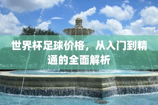 世界杯足球价格，从入门到精通的全面解析