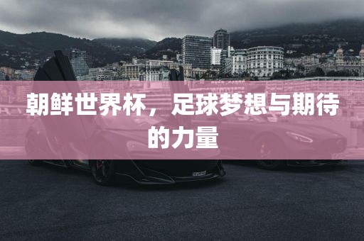 朝鲜世界杯，足球梦想与期待的力量