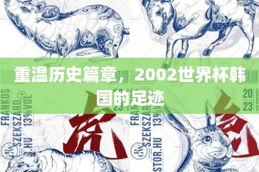 重洪湖市顺升工程机械租赁有限公司温历史篇章，2002世界杯韩国的足迹