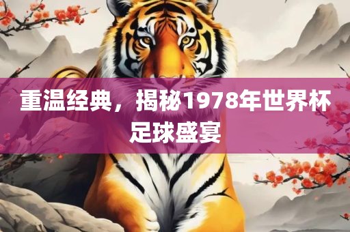 重温经典，揭秘1978年世界杯足球盛宴洪湖市顺升工程机械租赁有限公司