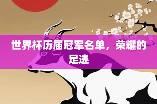 世界杯历届冠军名单，荣耀的足迹