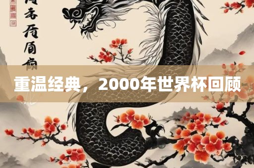 重温经典，2000年世界杯回顾洪湖市顺升工程机械租赁有限公司