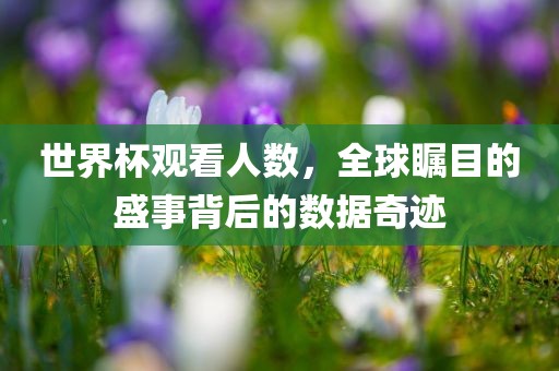 世界杯观看人数，全球瞩目的盛事背后的数据奇迹
