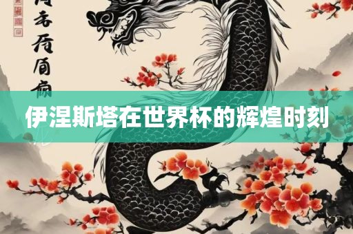 伊涅斯塔在洪湖市顺升工程机械租赁有限公司世界杯的辉煌时刻