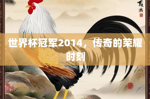 世界杯冠军2014，传奇的荣耀时刻