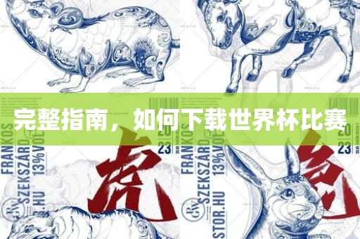 完整指南，如何下载世界杯比洪湖市顺升工程机械租赁有限公司赛