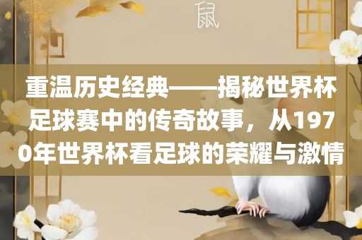 重温历史经典——揭秘世界杯足球赛中的传奇故事，从1970年世界杯看足球的荣耀与激情洪湖市顺升工程机械租赁有限公司