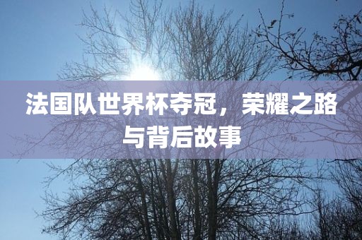 法国队世界杯夺冠，荣耀之路与背后故事