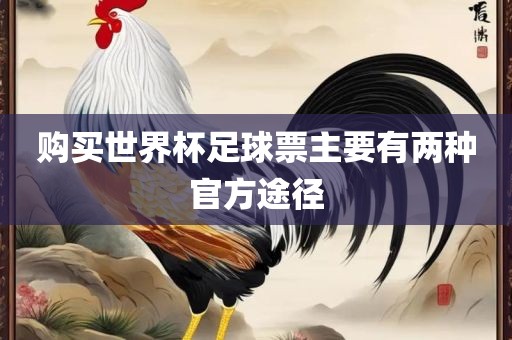 购买世界杯足球票主要有两种官方途径洪湖市顺升工程机械租赁有限公司