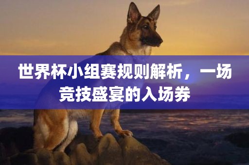 世界杯小组赛规则解析，一场竞技盛宴的入场券