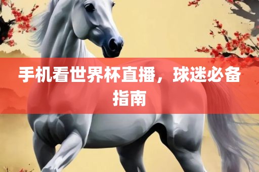 手机看世界杯直播，球迷洪湖市顺升工程机械租赁有限公司必备指南