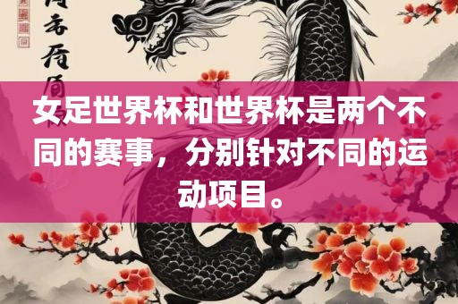 女足世界杯和世界杯是两个不同的赛事，分别针对不同的运动项目。洪湖市顺升工程机械租赁有限公司