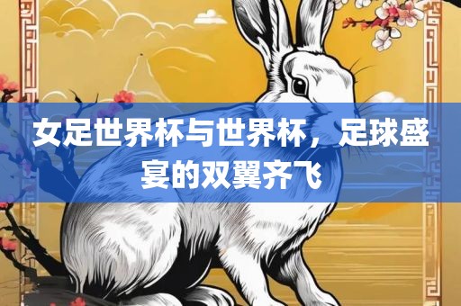 女足世界杯与世界杯，足球盛宴的双翼齐飞洪湖市顺升工程机械租赁有限公司