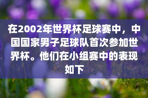 在2002年世界杯足球赛中，中国国家男子足球队首次参加世界杯。他们在小组赛中的表现如下