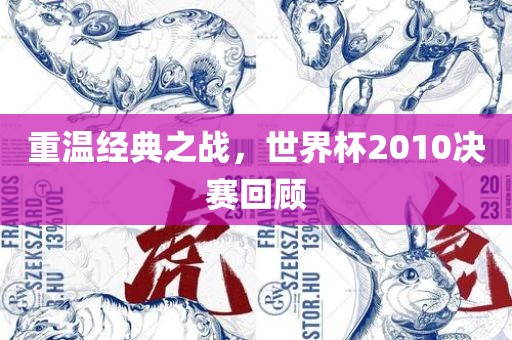 重温经典之战，世界杯2010决赛回顾洪湖市顺升工程机械租赁有限公司