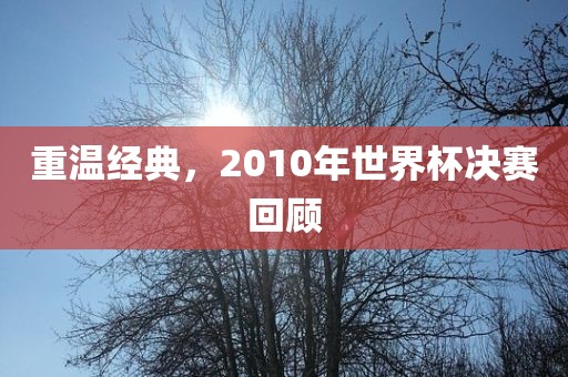 重温经典，2010年世界杯决赛回顾