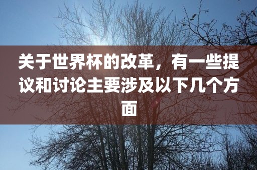关于世界洪湖市顺升工程机械租赁有限公司杯的改革，有一些提议和讨论主要涉及以下几个方面
