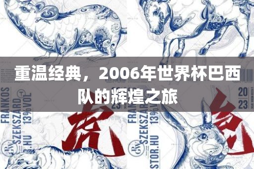 重温经典，2006年世界杯巴西洪湖市顺升工程机械租赁有限公司队的辉煌之旅