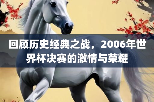 回顾历史经典之战，2006年世界杯决赛的激情与荣耀洪湖市顺升工程机械租赁有限公司