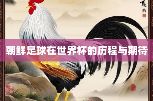 朝鲜足球在世界杯的历程与期待