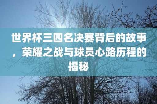 世界杯三四名决赛背后的故事，荣耀之战与球员心路历程的揭秘