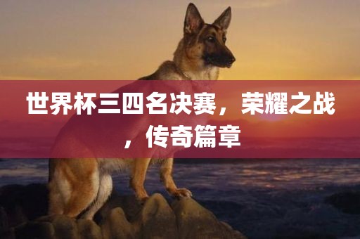 世界杯三四名决赛，荣耀之战，传奇篇章