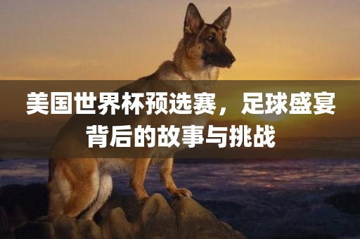 美国世界杯预选赛