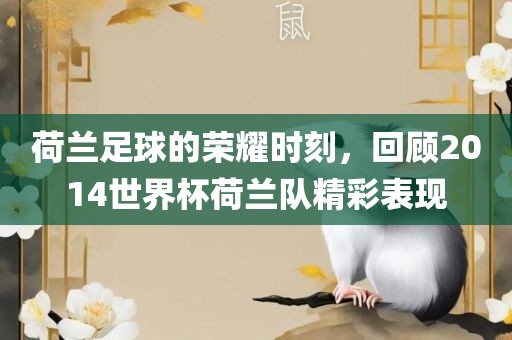 荷兰足球的荣耀时刻，回顾2014世界杯荷兰队精彩表现