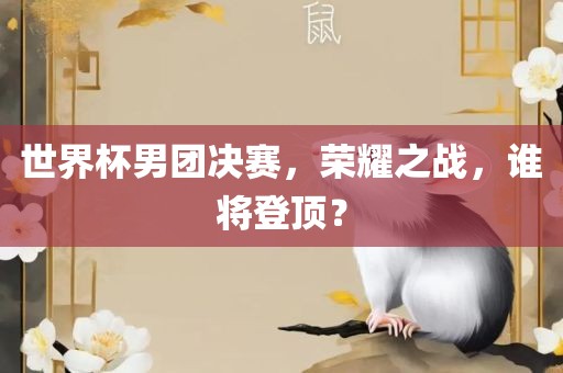 世界杯男团决赛，荣耀之战，谁将登顶？洪湖市顺升工程机械租赁有限公司