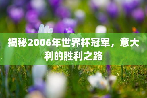 揭秘2006年世界杯冠军，意大利的胜利之路