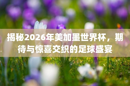 揭秘2026年美加墨世界杯，期待与惊喜交织的足球盛宴