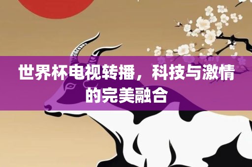 世界杯电视转播，科技与激情的完美融合