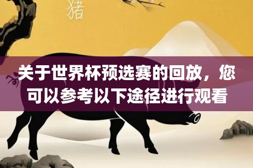 关于世界杯预选赛的回放，您可以参考以下途径进行观看