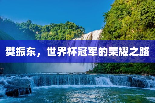 樊振东，世界杯冠军的荣耀之路