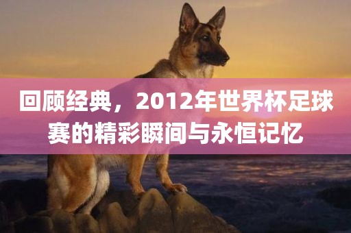 回顾经典，2012年世界杯足球赛的精彩瞬间与永恒记忆洪湖市顺升工程机械租赁有限公司
