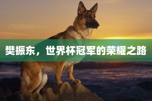 樊振东，世界杯冠军的荣耀之路