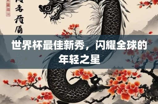 世界杯最佳新秀，闪耀全球的年轻之星洪湖市顺升工程机械租赁有限公司