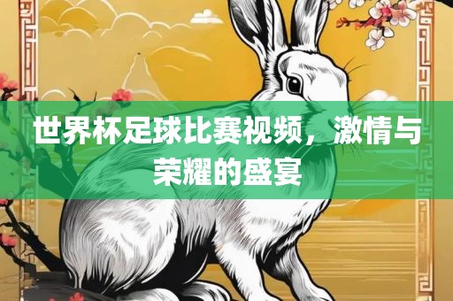 世界杯足球比赛视频，激情与荣耀的盛宴