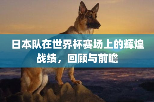 日本队在世界杯赛场上的辉煌战绩，回顾与前瞻