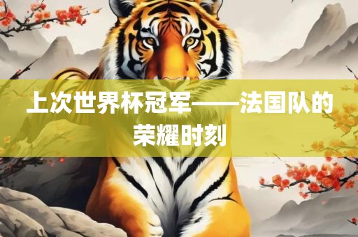 上次世界杯冠军——法国队的荣耀时刻洪湖市顺升工程机械租赁有限公司