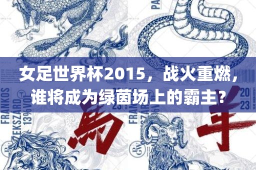 女足世界杯2015，战火重燃，谁将成为绿茵场上的霸主？洪湖市顺升工程机械租赁有限公司