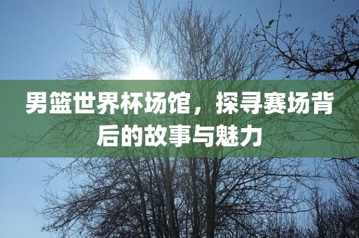男篮世界杯场馆，探寻赛场背后的故事与魅力洪湖市顺升工程机械租赁有限公司