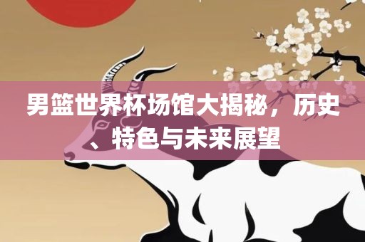 男篮世界杯场馆大揭秘，历史、特色与未来展望