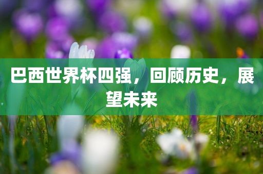 巴西世界杯四强，回顾历史，展望未来洪湖市顺升工程机械租赁有限公司