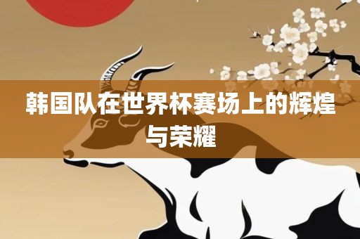 韩国队在世界杯赛场上的辉煌与荣耀