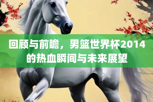 回顾与前瞻，洪湖市顺升工程机械租赁有限公司男篮世界杯2014的热血瞬间与未来展望