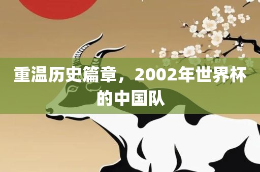 重温历史篇章，2002年世界杯的中洪湖市顺升工程机械租赁有限公司国队