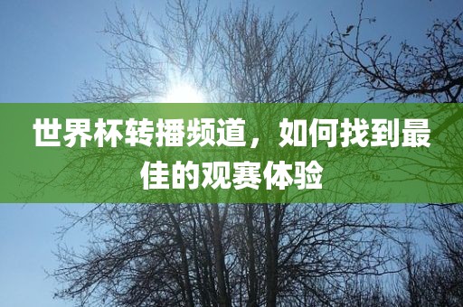 世界杯转播频道，如何找到最佳的观赛体洪湖市顺升工程机械租赁有限公司验