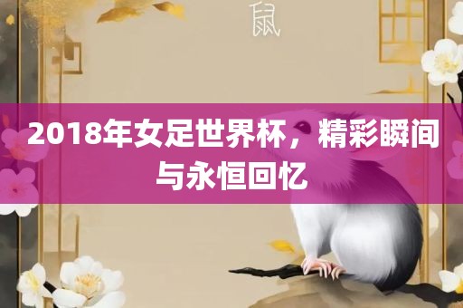 2018年女足世界杯，精彩瞬间与永恒回忆洪湖市顺升工程机械租赁有限公司