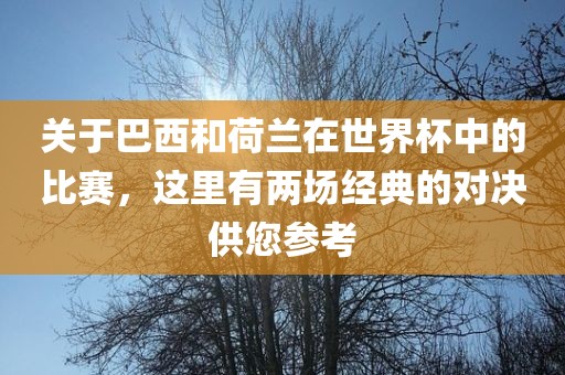 关于巴西和荷兰在世界杯中的比赛，这里有洪湖市顺升工程机械租赁有限公司两场经典的对决供您参考